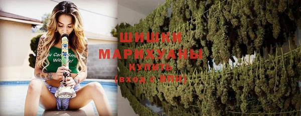ПСИЛОЦИБИНОВЫЕ ГРИБЫ Балахна