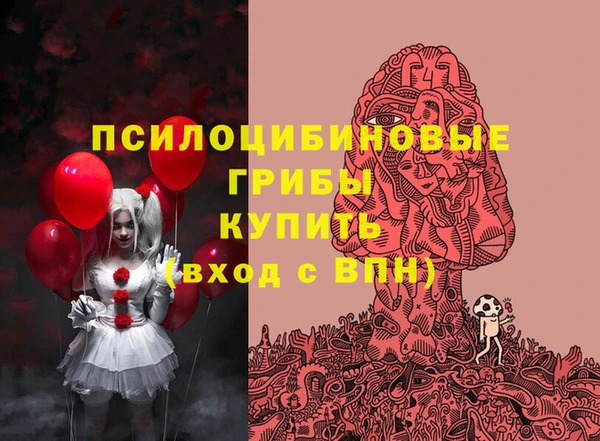 ПСИЛОЦИБИНОВЫЕ ГРИБЫ Балахна