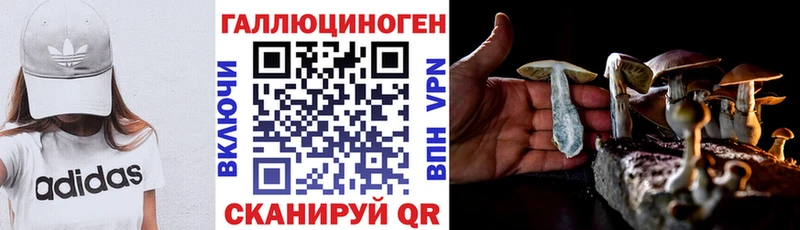 Псилоцибиновые грибы прущие грибы  Обь 